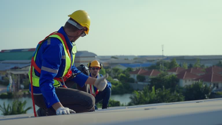 Best Storm Damage Roof Repair  in La Grulla, TX