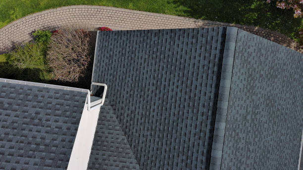 Best Gutter Installation and Repair  in La Grulla, TX